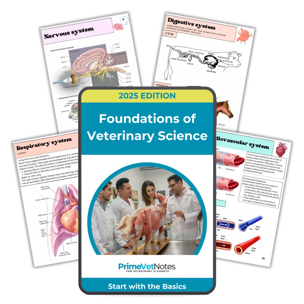 All-in-One Vet Study Bundle