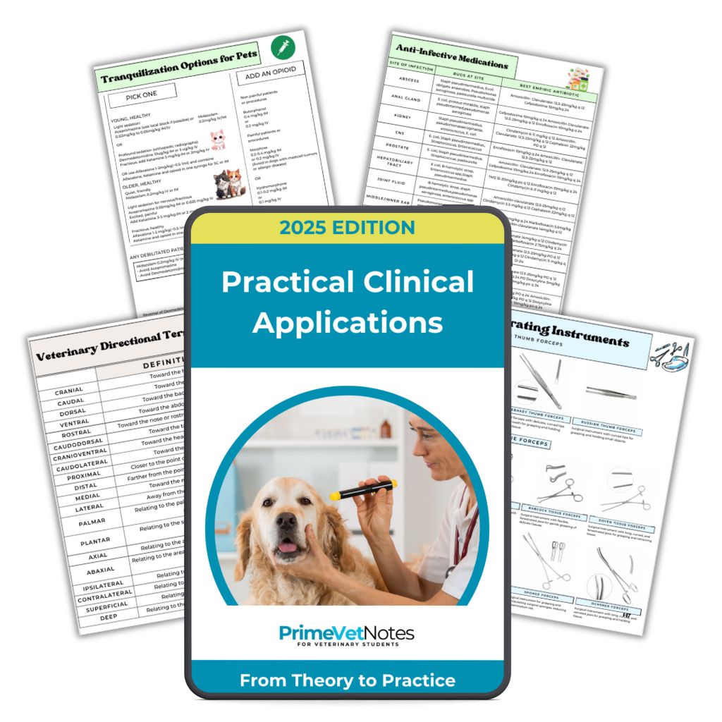 All-in-One Vet Study Bundle