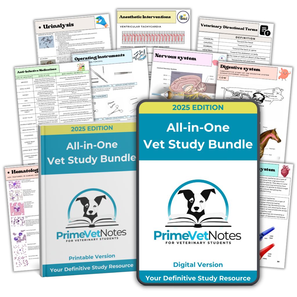 All-in-One Vet Study Bundle